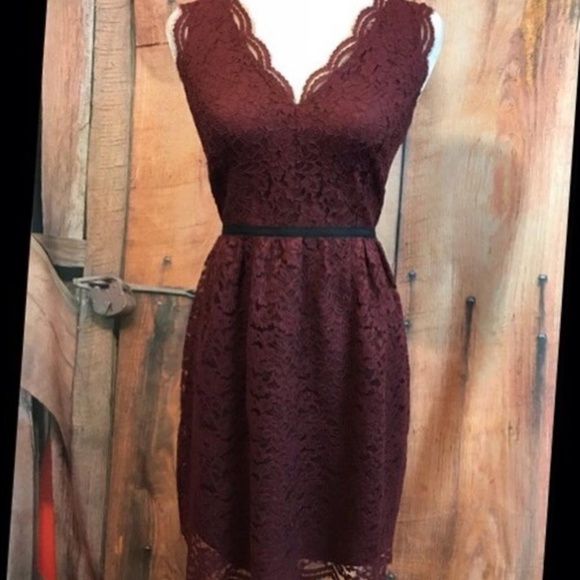 NWOT Ann Taylor Loft scalloped lace v neck dress, - Picture 6 of 7